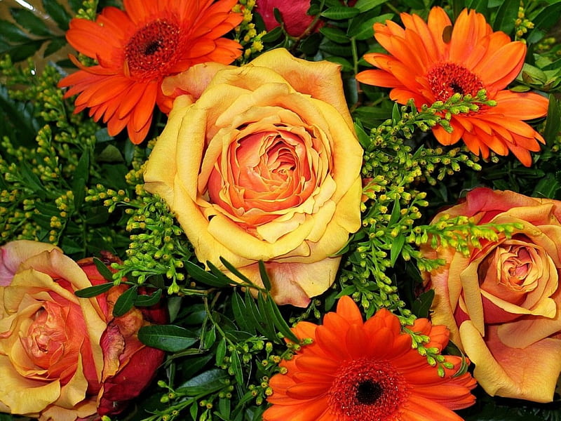 Bouquet of Flowers, bouquet, orange, ramance, gerbera, flowers, floristry, nature, roses, HD wallpaper
