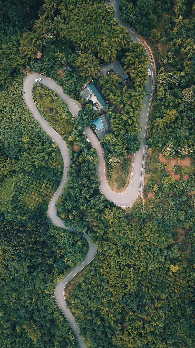 road, top view, forest, trees, HD phone wallpaper