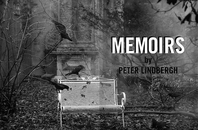 Memoirs 01, art, vogue, vogue italia, editorial, birds, peter lindbergh, fashion, HD wallpaper