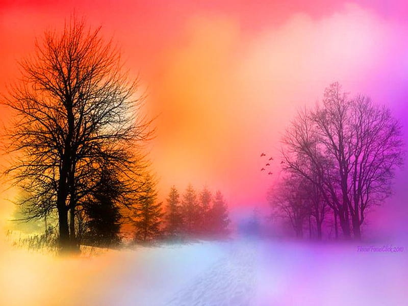 Sunset winter, snow, orange, sunset, trees, sky, pink, winter, HD ...