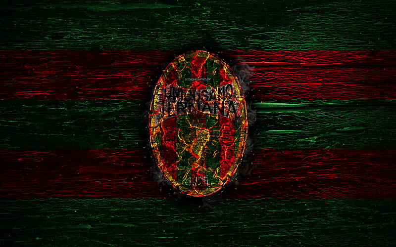 Ternana FC, fire logo, Serie B, red and green lines, grunge, Italian football club, soccer, logo, Ternana Calcio, football, wooden texture, Italy, HD wallpaper