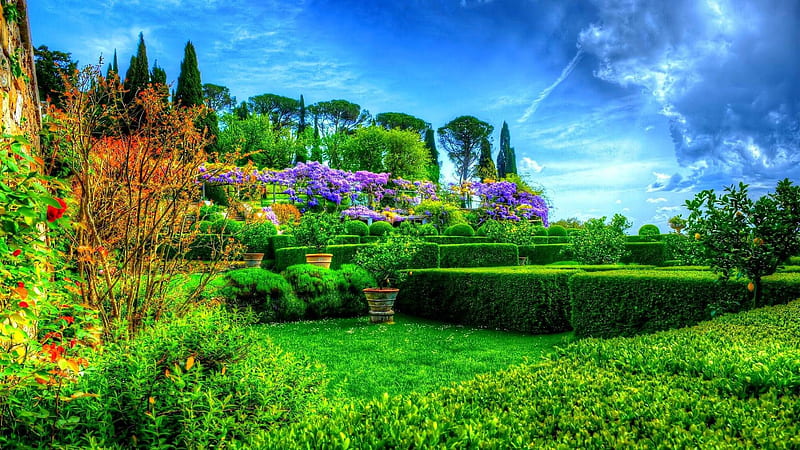 Beautiful Scenery Garden Green Trees Plants Bushes Colorful Flowers Under Blue Sky Scenery, HD wallpaper