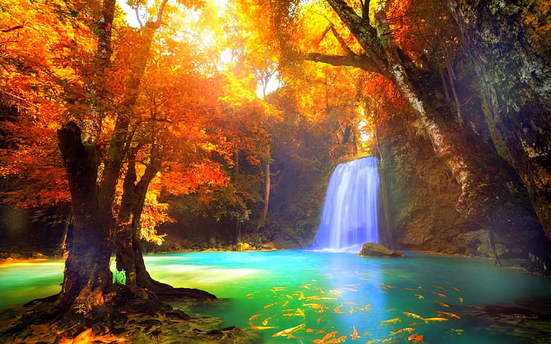 ★Cool Waterfall★, fall, autumn, stunning, attractions in dreams, bonito ...