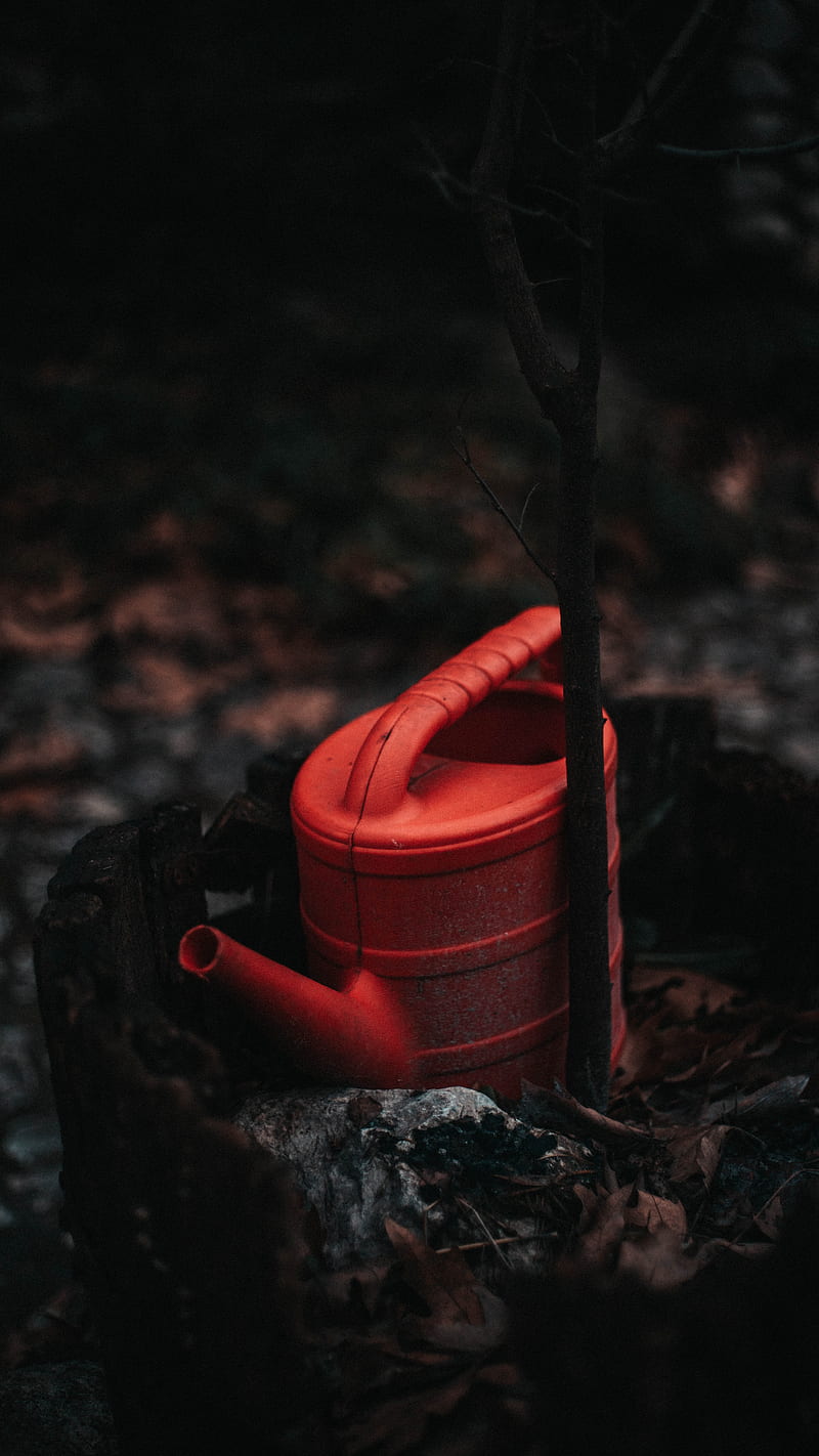 red watering can, HD phone wallpaper