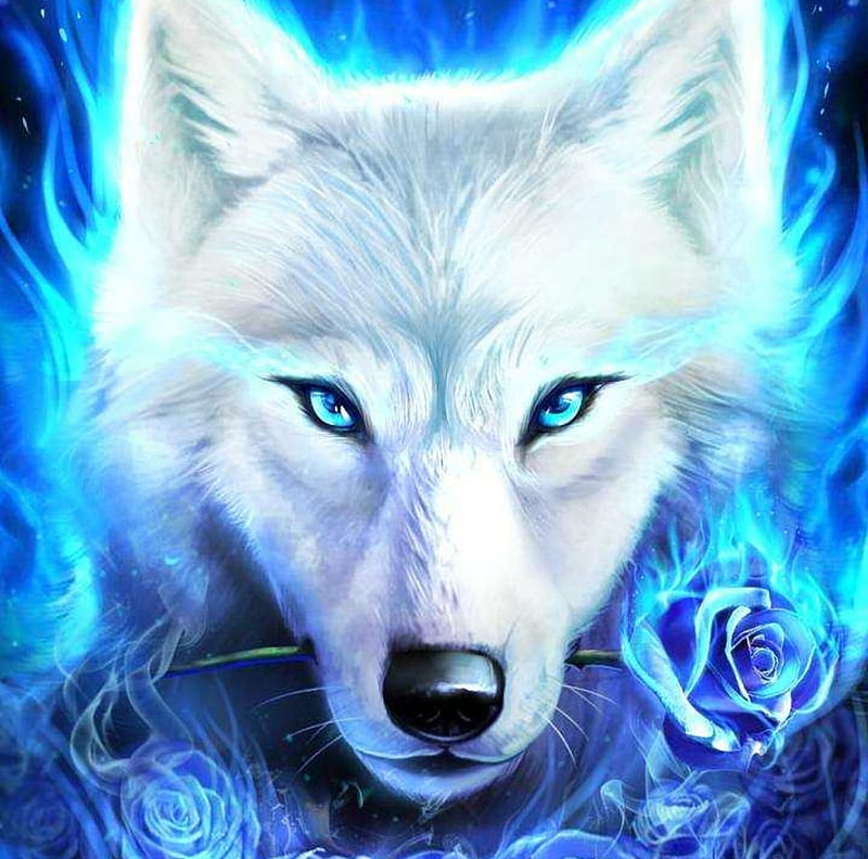 Icewolf, white, winter, iarna, blue, ice wolf, mineajuntura