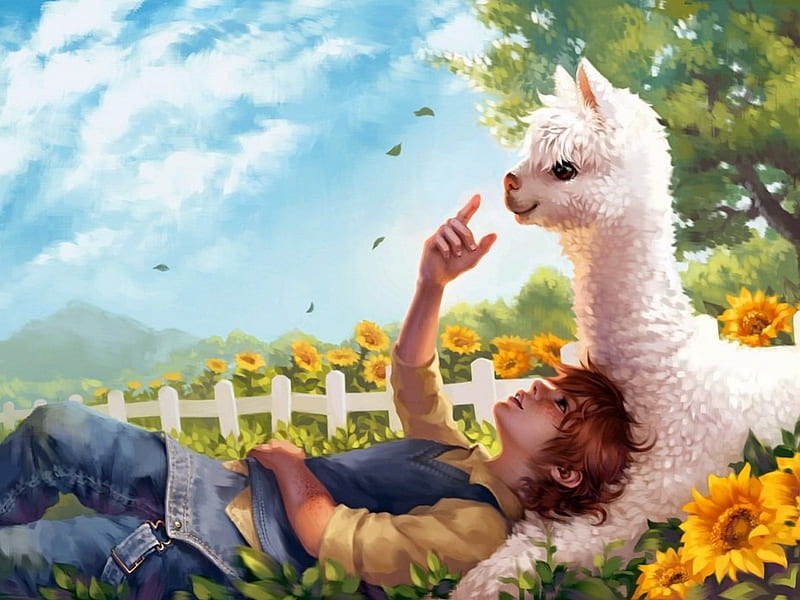 Boy and the Llama, playing, boy, fied, llama, sunflower, bonito, butterflies, white, HD wallpaper