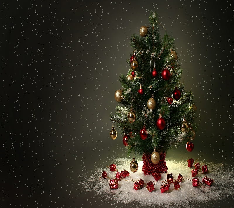 Xmas tree, holiday, winter, HD wallpaper | Peakpx