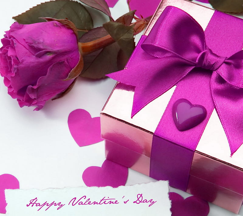 valentines day, gift, heart, love, purple rose, purple valentine, HD wallpaper