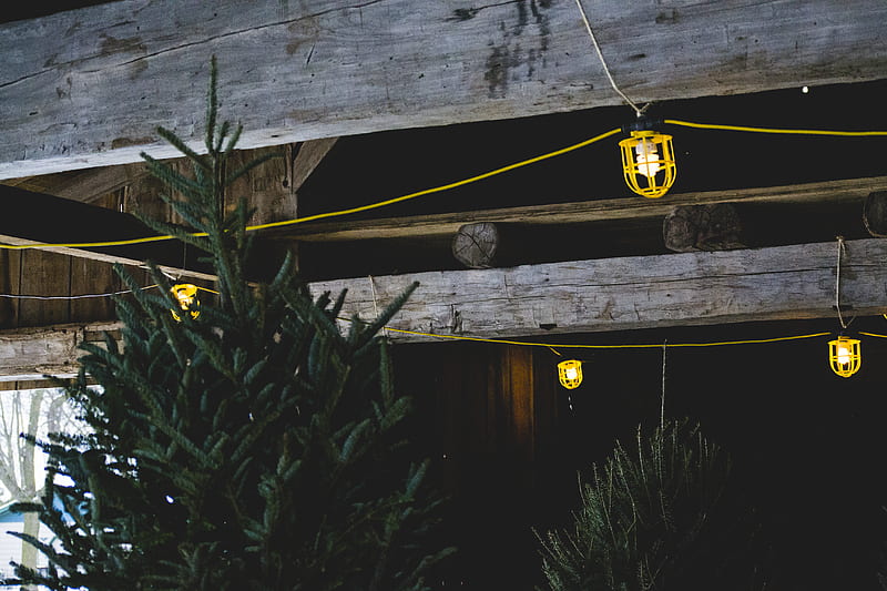 yellow string lights, HD wallpaper