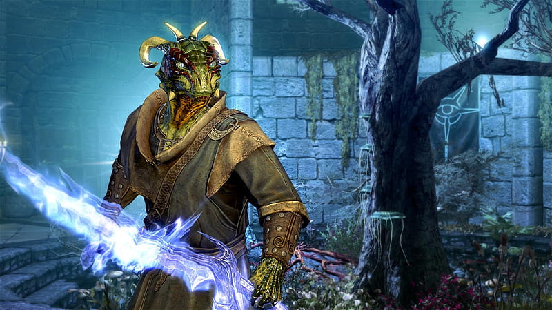 The Elder Scrolls V-Skyrim Game 11, HD wallpaper