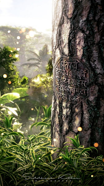 Rajmudra, tree, god, maharaj, nature, HD phone wallpaper | Peakpx