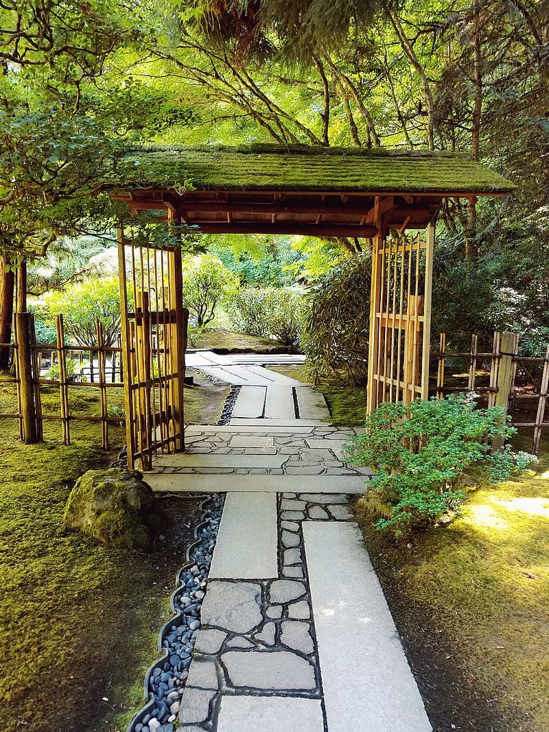 Japanese Garden, green, nature, soothing, uplifting, HD phone wallpaper