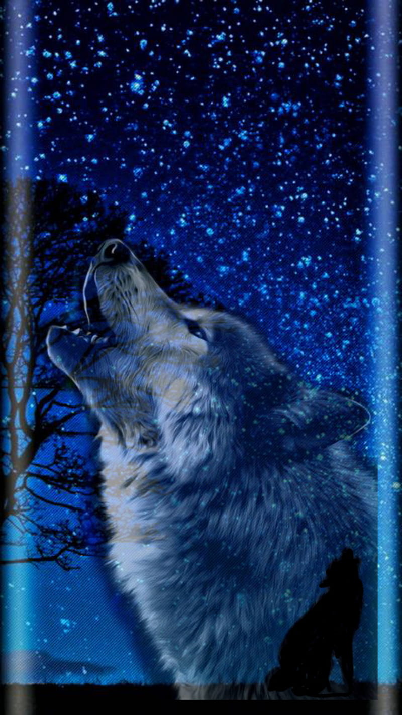 Blue wolf and stars, star, wolves, HD phone wallpaper