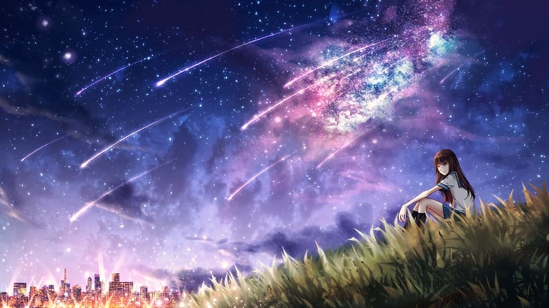 Anime, Grass, Starry Sky, Original, Long Hair, Brown Hair, HD wallpaper ...