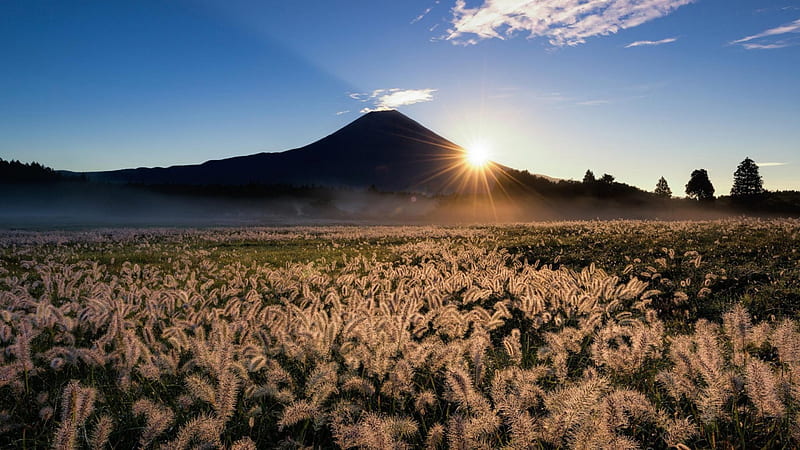 sun rays over a field next to mount fuji, mountain, sun, rays, field, HD wallpaper
