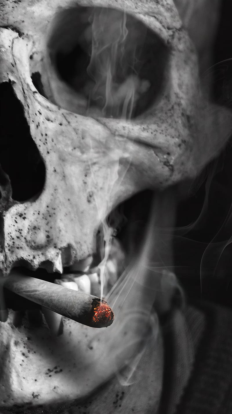 Skull In Smoke Wallpaper Download  MobCup