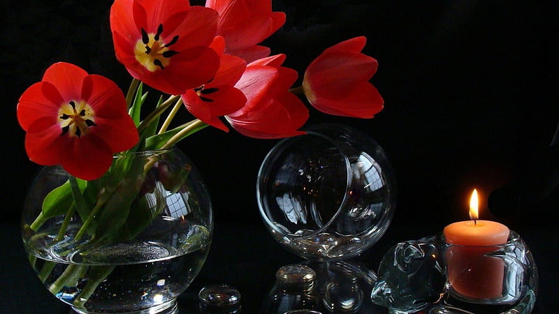 Still Life, candle, wine, flower, glasses, tulips, HD wallpaper