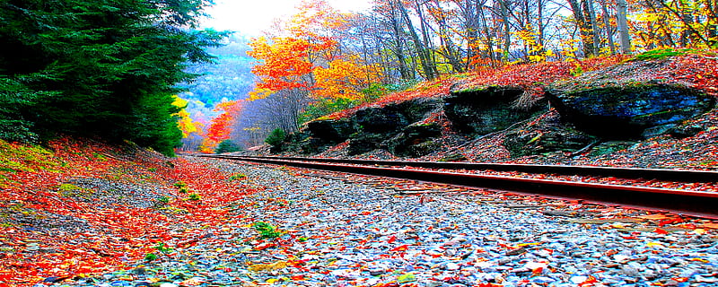 Autumn Trip, fall, red, pretty, colorful, autumn, orange, yellow, bonito, fallen, graphy, leaves, green, mounts, beauty, season, scenery, lovely, view, leafe, trees, rail, mountains, nature, scene, landscape, HD wallpaper