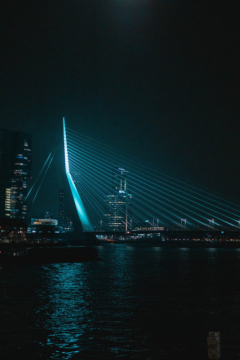 night city, buildings, bridge, water, dark, HD phone wallpaper