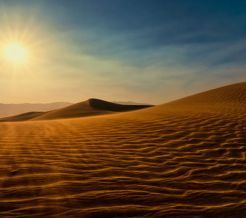 desierto, yellow, calor, landscape, HD wallpaper