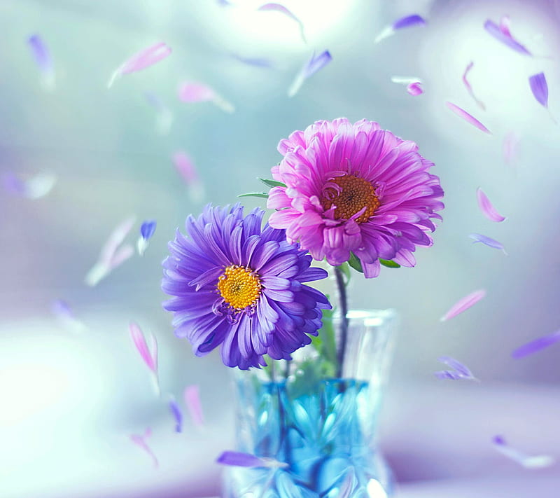 Colorful Flowers, 2014, 3d, bonito, cool, nature, new, nice, HD wallpaper |  Peakpx