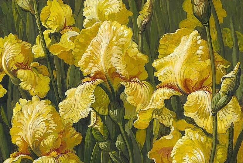 Yellow irises, iris, art, yana movchan, painting, yellow, flower, pictura, HD wallpaper
