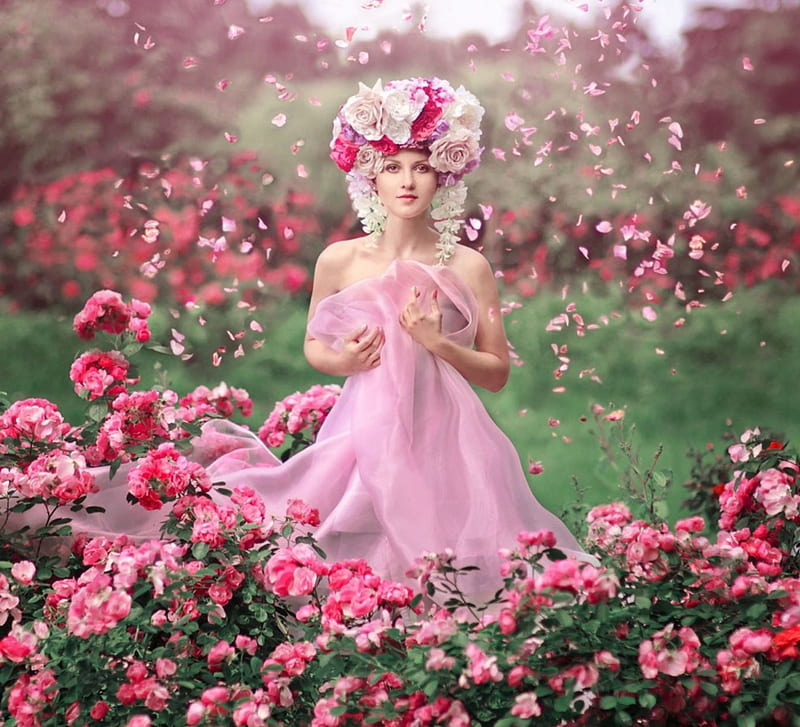 Pink Rain, beautiful, roses, girl, head crown, bush, flowers, garden, pink, HD wallpaper