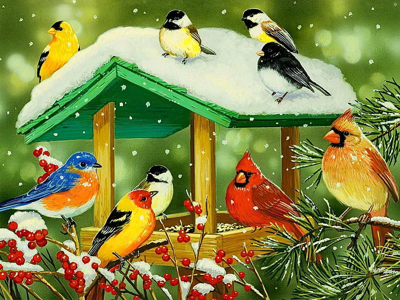 Winter treats, colorful, house, covered, bonito, snowy, cardinals, nice, painting, friends, frost, art, lovely, greenery, birds, treats, winter, snowflake, snow, berries, birdhouse, nature, branches, HD wallpaper