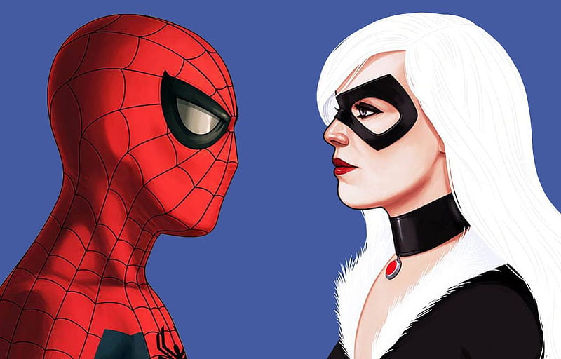 HD spiderman and black cat wallpapers | Peakpx