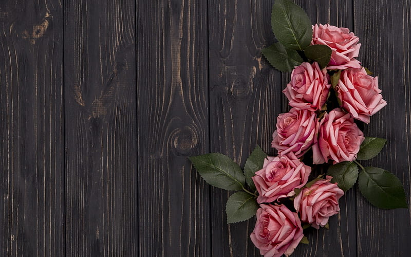 feliz día !, rosa, flor, rosa, madera, tarjeta, Fondo de pantalla HD |  Peakpx