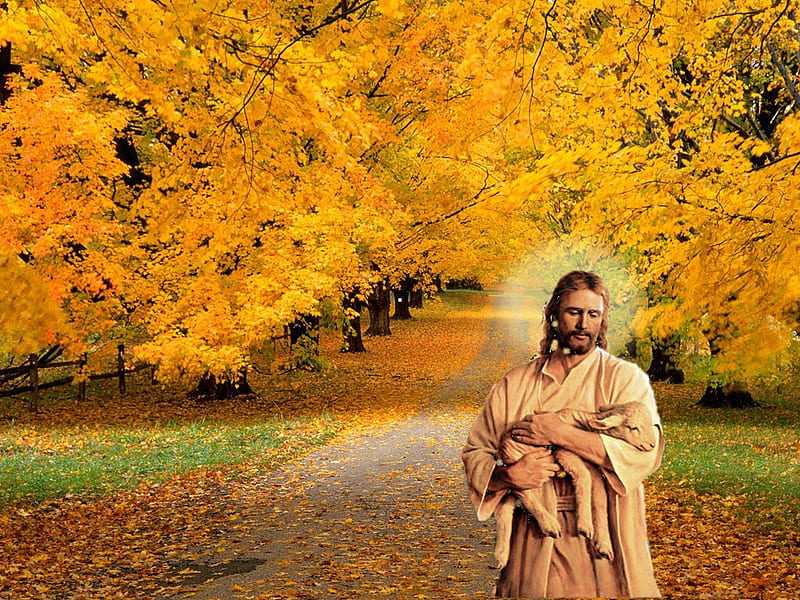 Jesus the good shepherd, autumn, christianity, religion, collage, shepherd,  christ, HD wallpaper | Peakpx