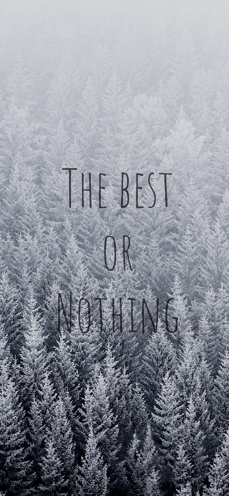 The best or nothing, nature, white, HD phone wallpaper | Peakpx