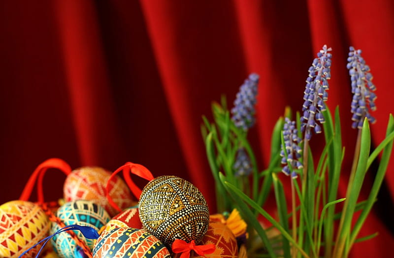Easter Eggs and Grape Hyacinth, Easter, Easter eggs, Hyacinth, flowers, Grape Hyacinth, HD wallpaper