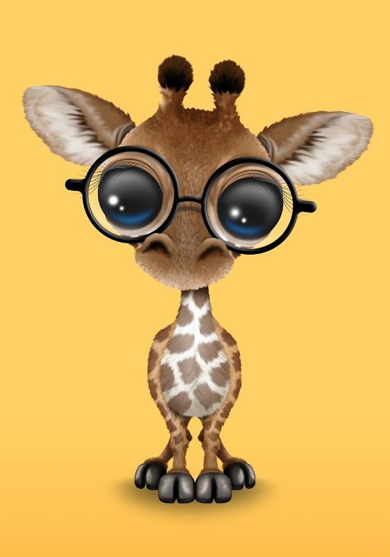 Giraffe, animal, cute, HD phone wallpaper