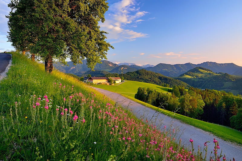 Mountain view, valley, grass, view, greenery, houses, bonito, spring, sky, mountain, wildflowers, slope, peaceful, village, summer, road, HD wallpaper