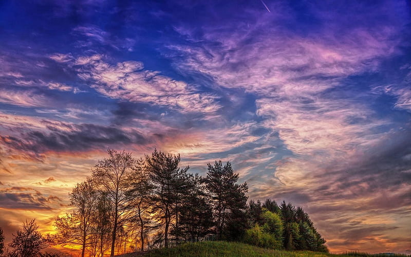 Pink Sunset Above the Trees, nature, sunset, trees, clouds, sky, HD ...