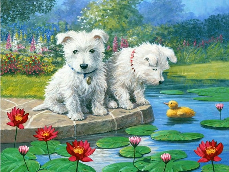 Adorable Puppies, pond, puppies, urban, painting, domestic, park, dogs, animals, HD wallpaper