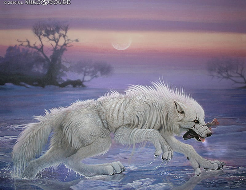 the catch of the wolf, wolf, fish, wolves, werewolves, HD wallpaper