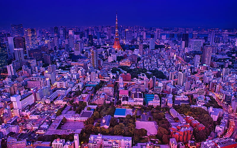 Skyscrapers of Tokyo at Night, Nights, japan, Cityscapes, Skyscrapers, Sky, Nature, HD wallpaper