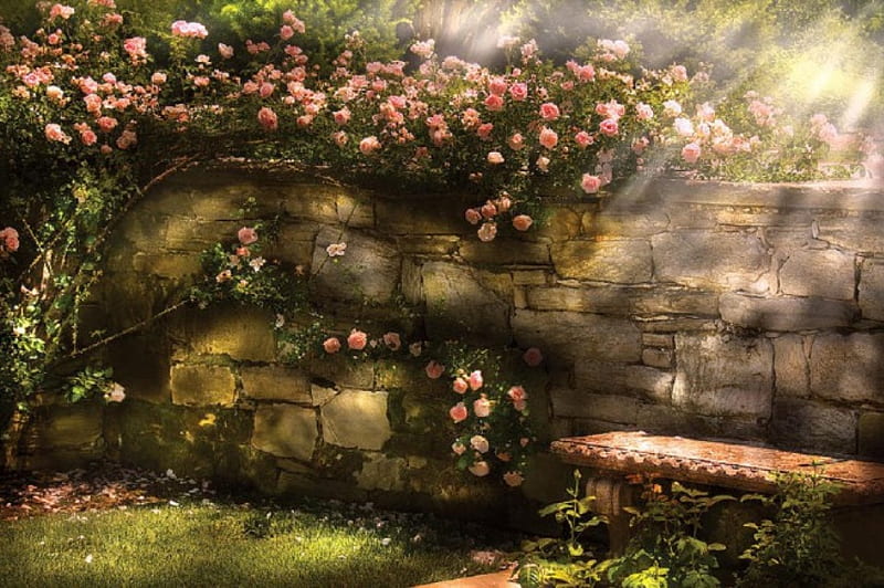 pijk rose garden bench, painting, bench, garden, nature, pink roses, HD wallpaper