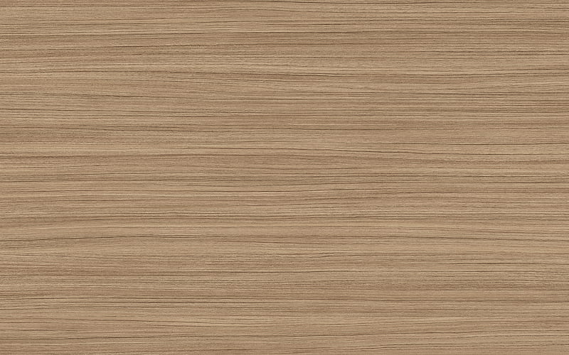 Light wood texture, wood light background, texture of natural materials,  wood, HD wallpaper | Peakpx
