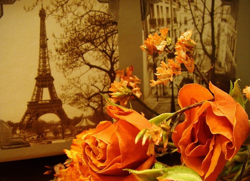 Eiffel Tower…, memories, paris, roses, eiffel tower, HD wallpaper