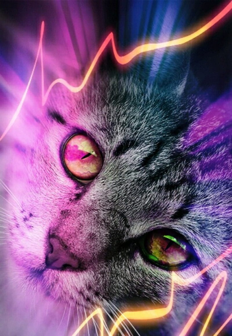 Purple cat, cat, lightning, logo, neon, pure, purple, trippy, ultra, you,  HD phone wallpaper | Peakpx