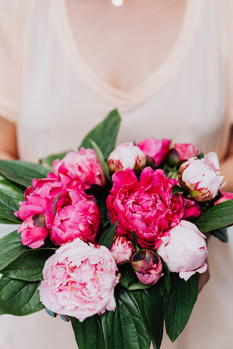 Pink Roses Bouquet on White Textile, HD phone wallpaper