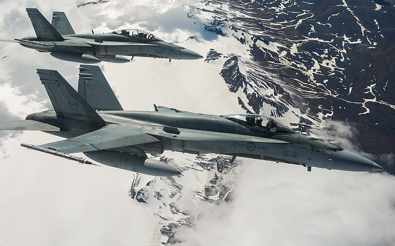Grumman F-14 Tomcat, fighter-interceptor, military aircraft, Canadian Air Force, mountain landscape, snow, HD wallpaper