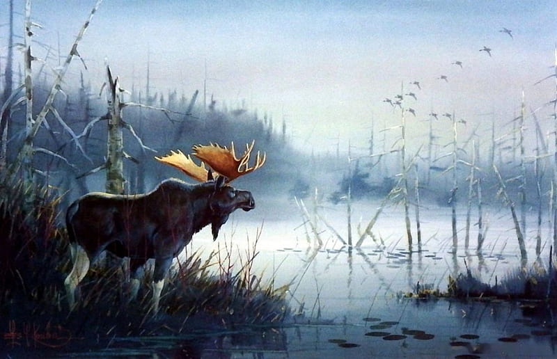 Surveying his Domain, autumn, water, moose, painting, artwork, mist, HD wallpaper