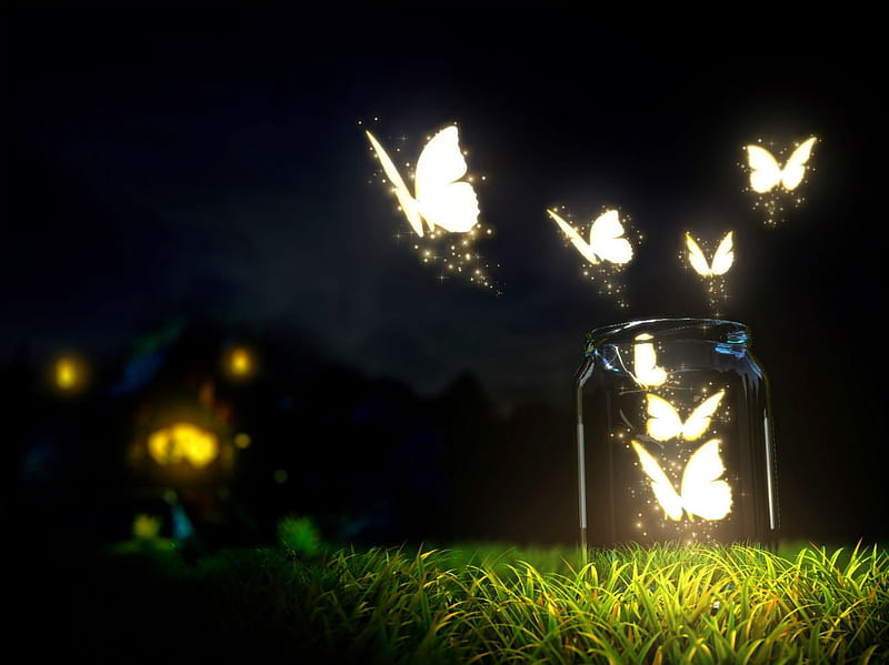 Butterflies in a Jar, glowing, jar, tie, magic, buterflies, night, HD wallpaper