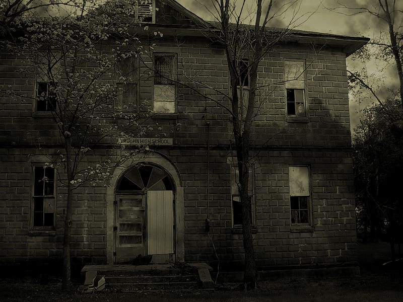 Night, Dark, Tree, House, Grey, Haunted, HD wallpaper