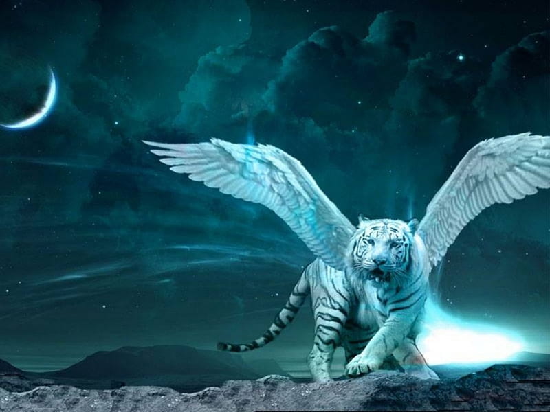 angelic tiger with wings, tigers, tigers with wings, big cats, animals, HD wallpaper