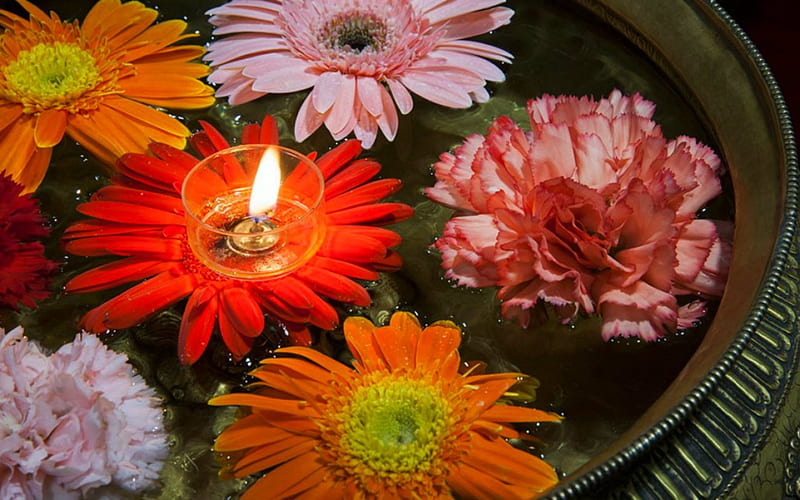 Beautiful Flowers, candle, pot, Flowers, floating, HD wallpaper